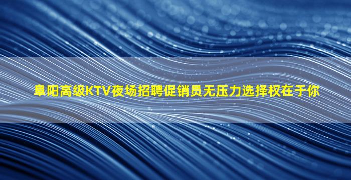 阜阳高级KTV夜场招聘促销员无压力选择权在于你